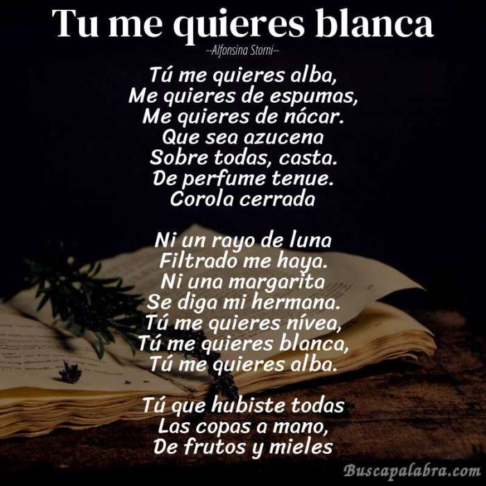 Tu me quieres blanca english