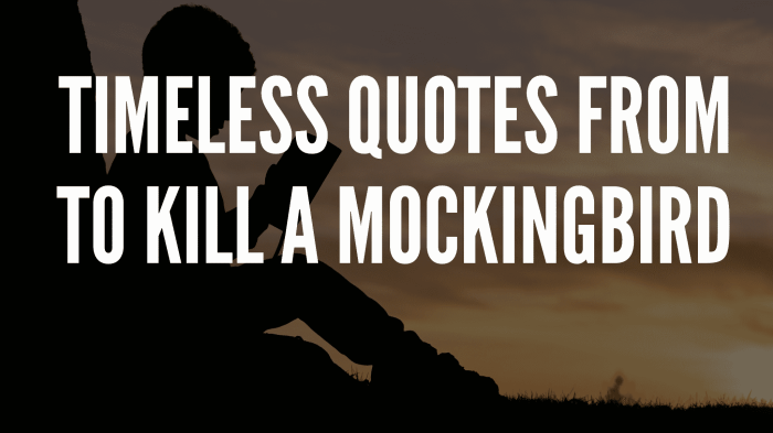 To kill a mockingbird quotes courage