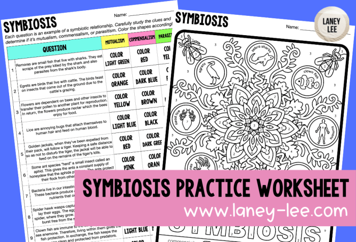 Color by number symbiosis answer key