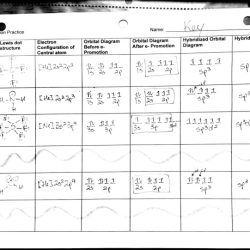 Molecular geometry worksheet answers pogil