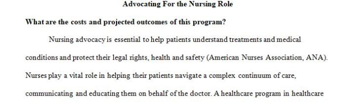 Advocating for the nursing role in program design and implementation