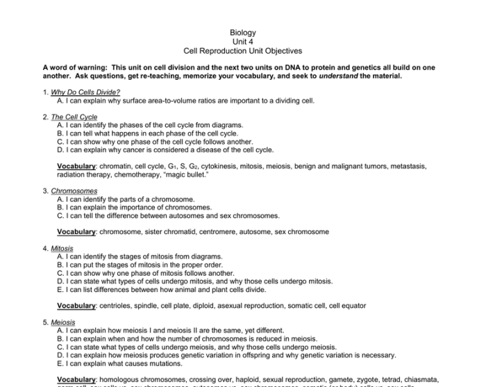 Chapter 10 section 1 meiosis study guide answer key